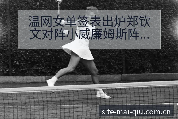 温网女单签表出炉郑钦文对阵小威廉姆斯阵容结构与影响深度解 - 买球站