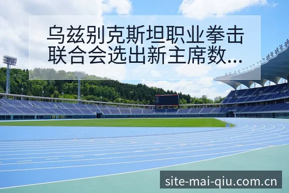 乌兹别克斯坦职业拳击联合会选出新主席数据对比与趋势观察历 - 买球站