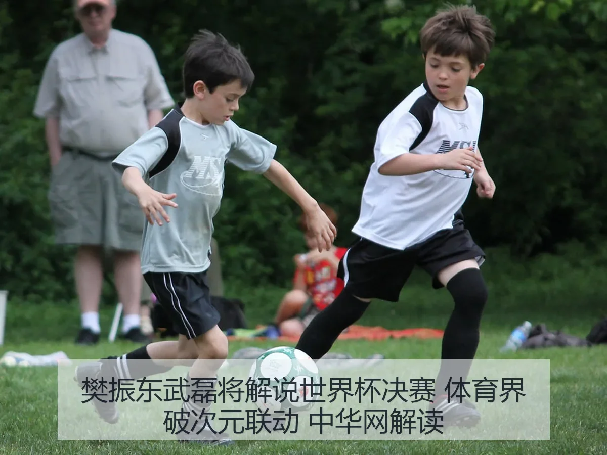 樊振东武磊将解说世界杯决赛 体育界破次元联动
